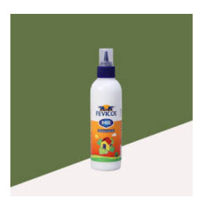 Fevicol